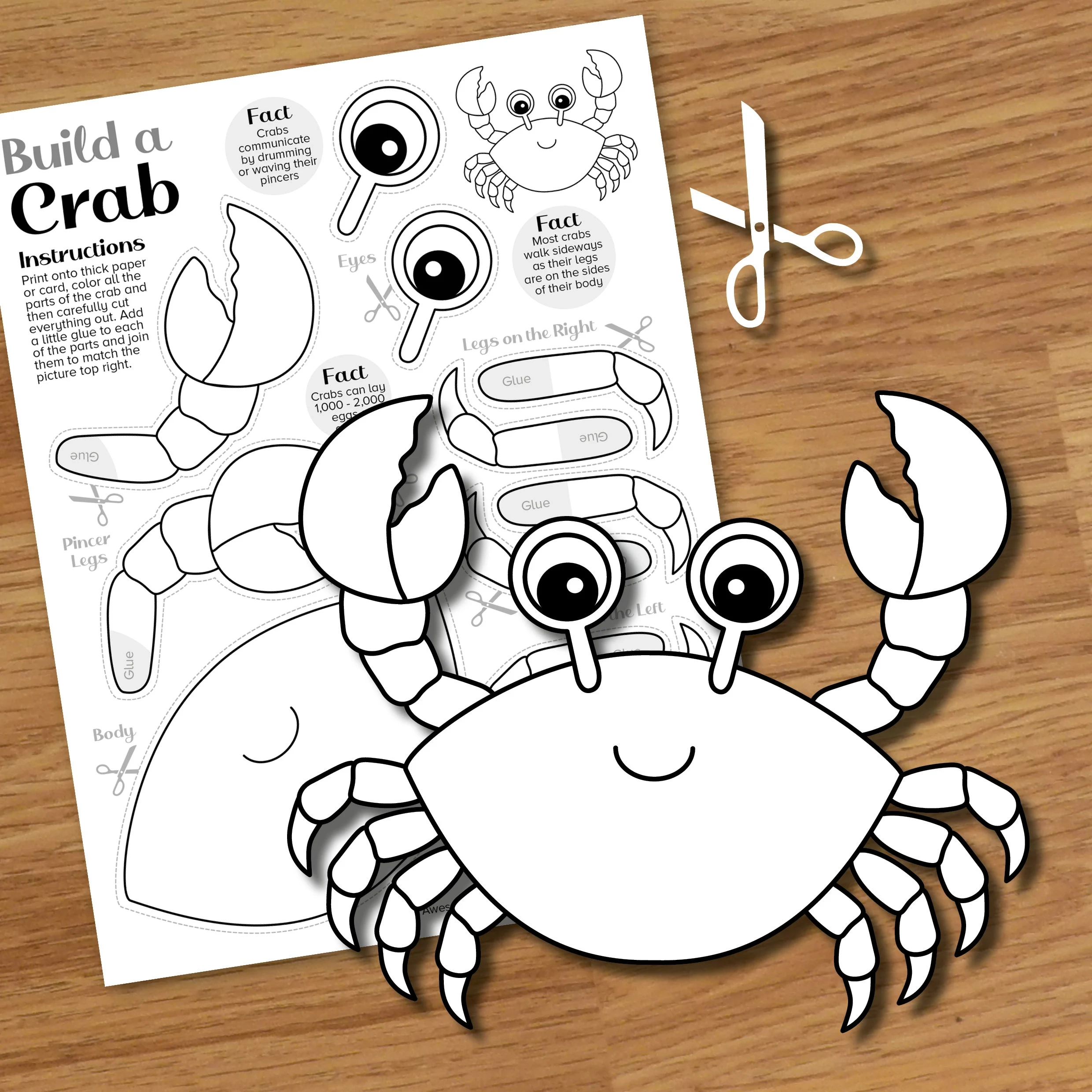 Crab Cut amp Paste Craft Printable Summer Beach Color And Build Art 