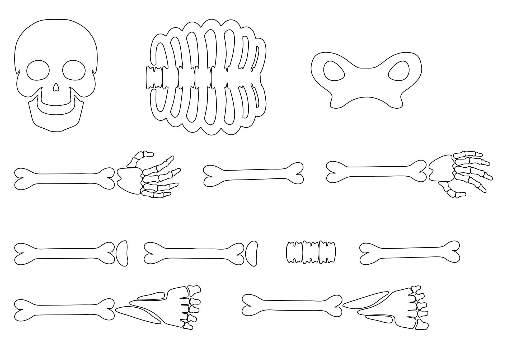 Discover 20 Work Halloween And Skeleton Template Ideas Skeleton 