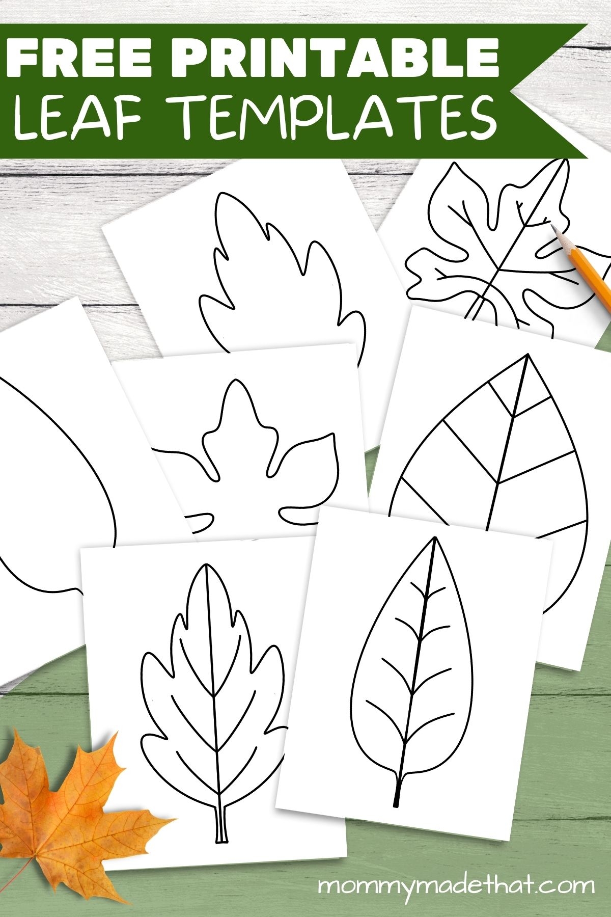 Free Leaf Templates amp Outlines Tons Of Printables