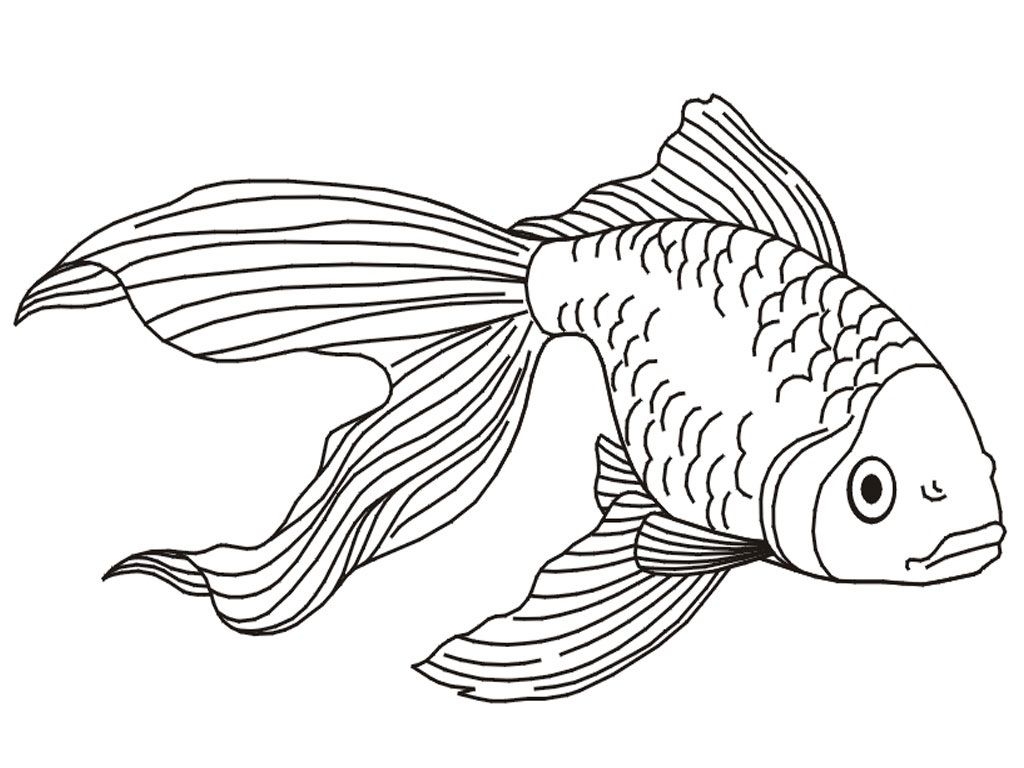 Free Printable Goldfish Coloring Pages For Kids Worksheets Library
