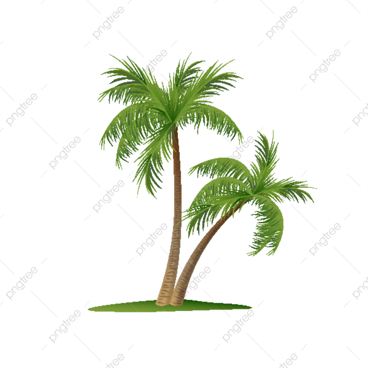 Hawaii Coconut Vector Art PNG Images Free Download On Pngtree