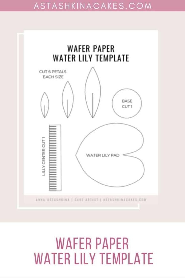 Free Printable Water Lily Template