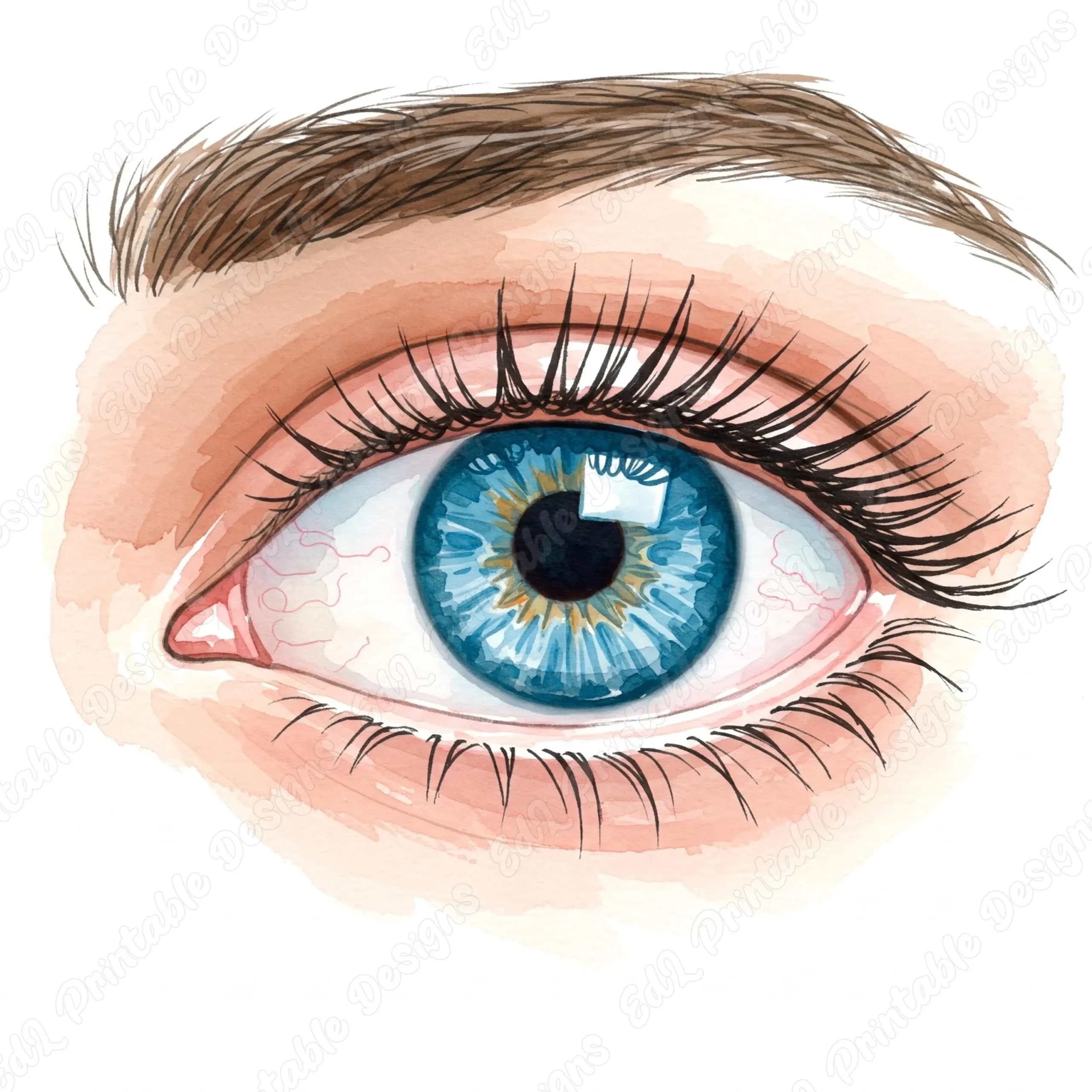 Human Eye Printable Etsy