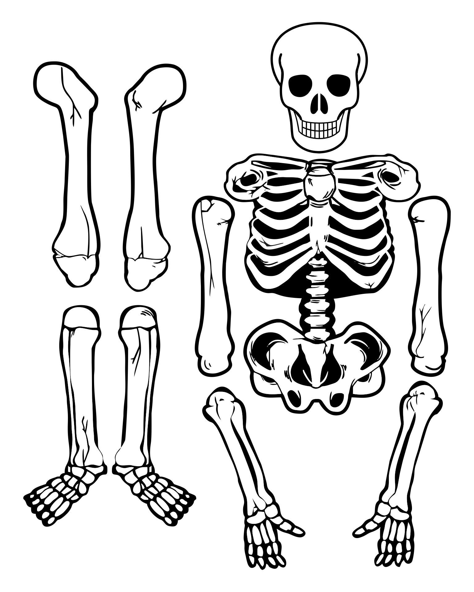 Large Skeleton Template 20 Free PDF Printables Printablee