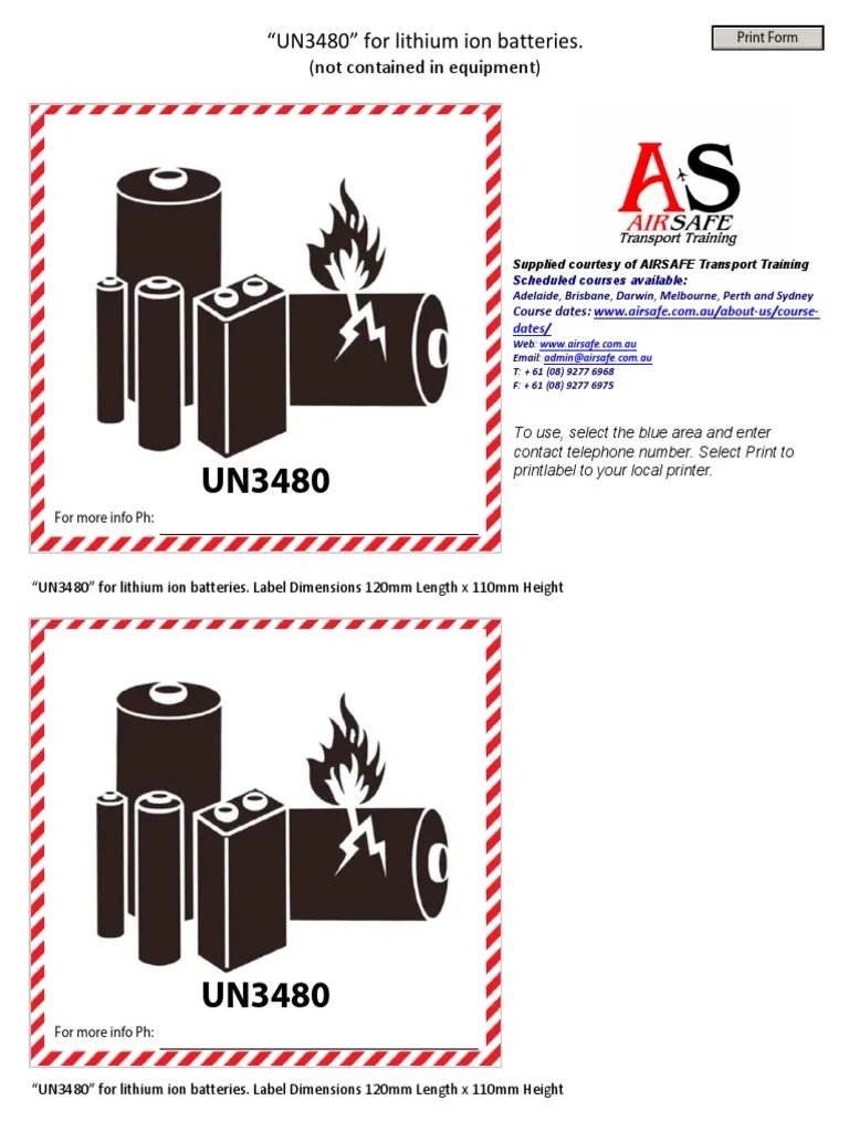 Free Printable Un3481 Label Template