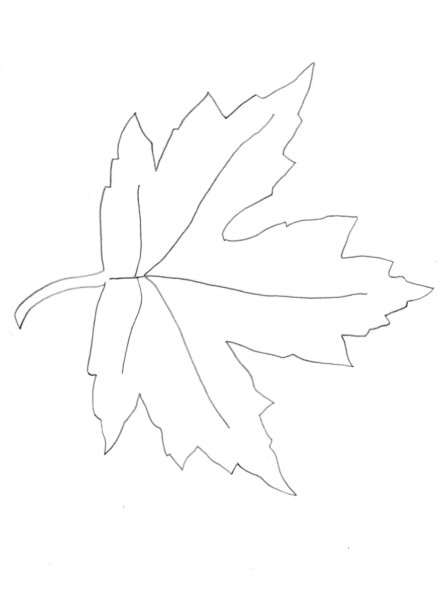 Maple Leaf Template Free Printable