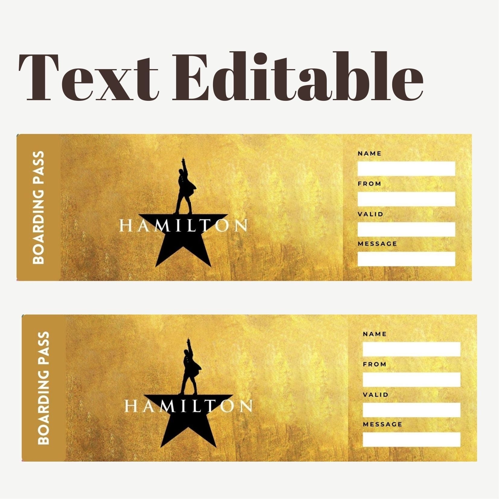 Musical Ticket Template Tickets For Hamilton Ticket Template