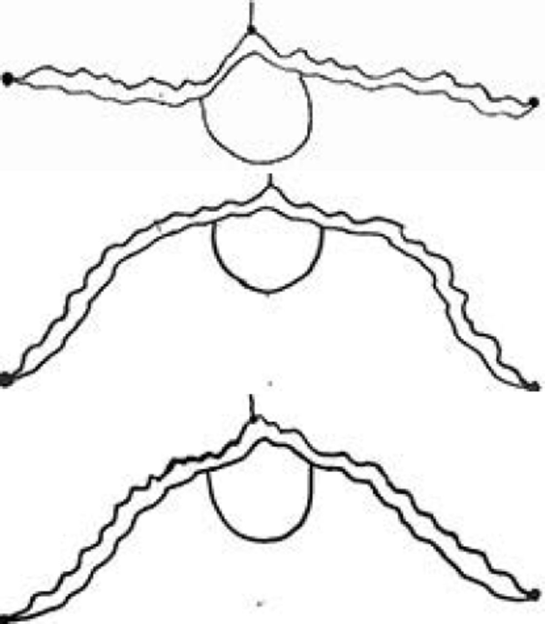 Printable Hairline Designs And Hectographic Templates Novel Tools 