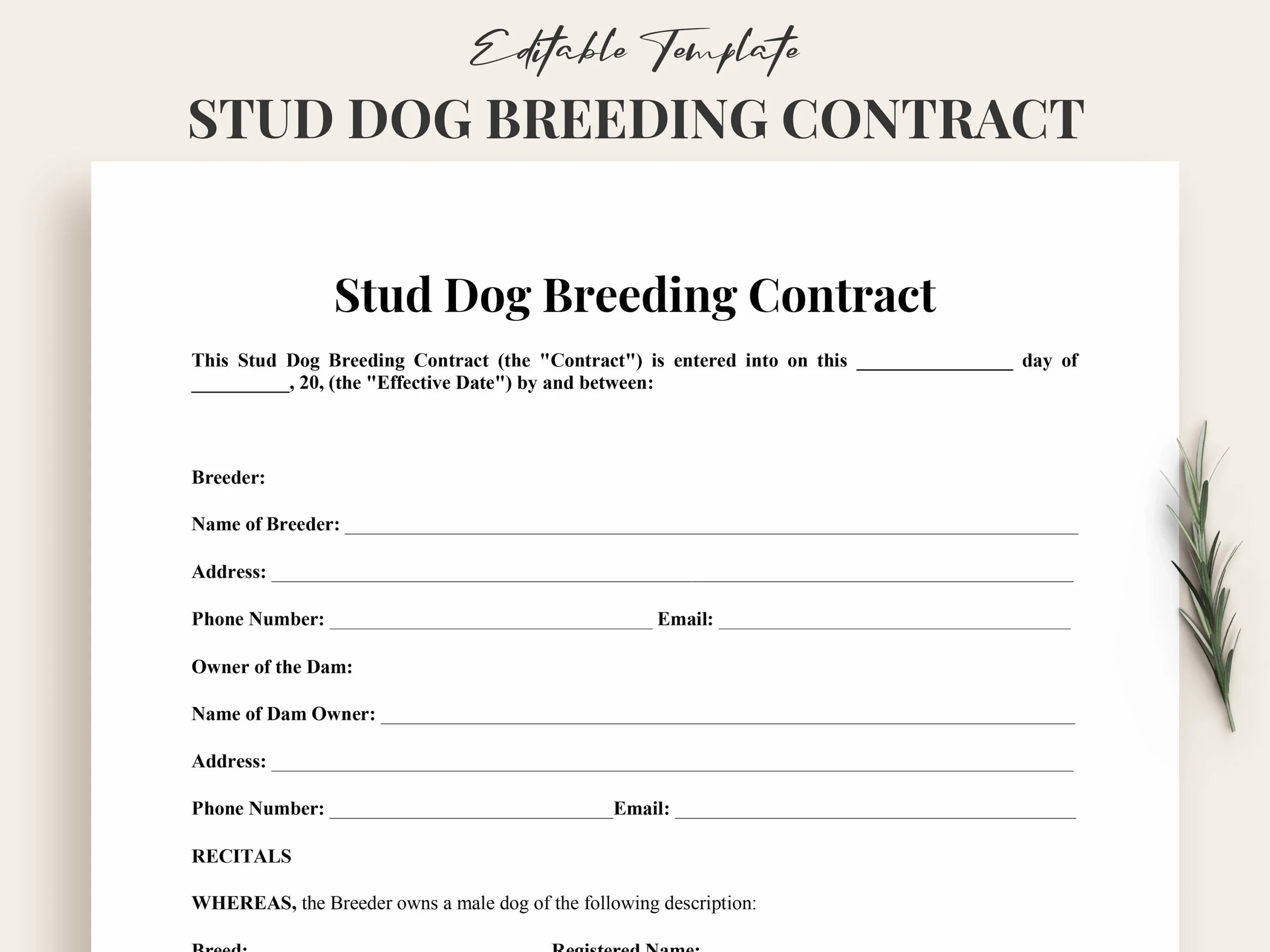 Printable Stud Dog Breeding Contract Template Word Customizable 