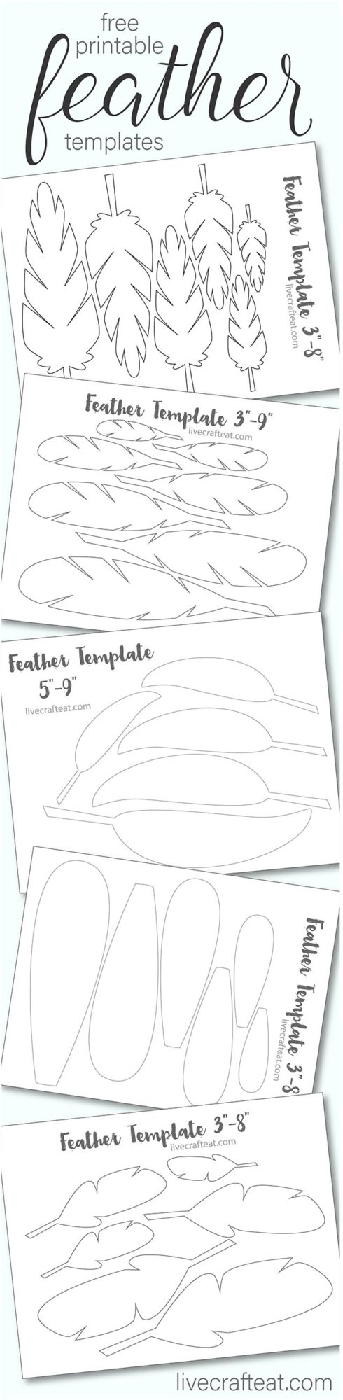 Printable Turkey Feather Patterns amp Templates Free Live Craft Eat
