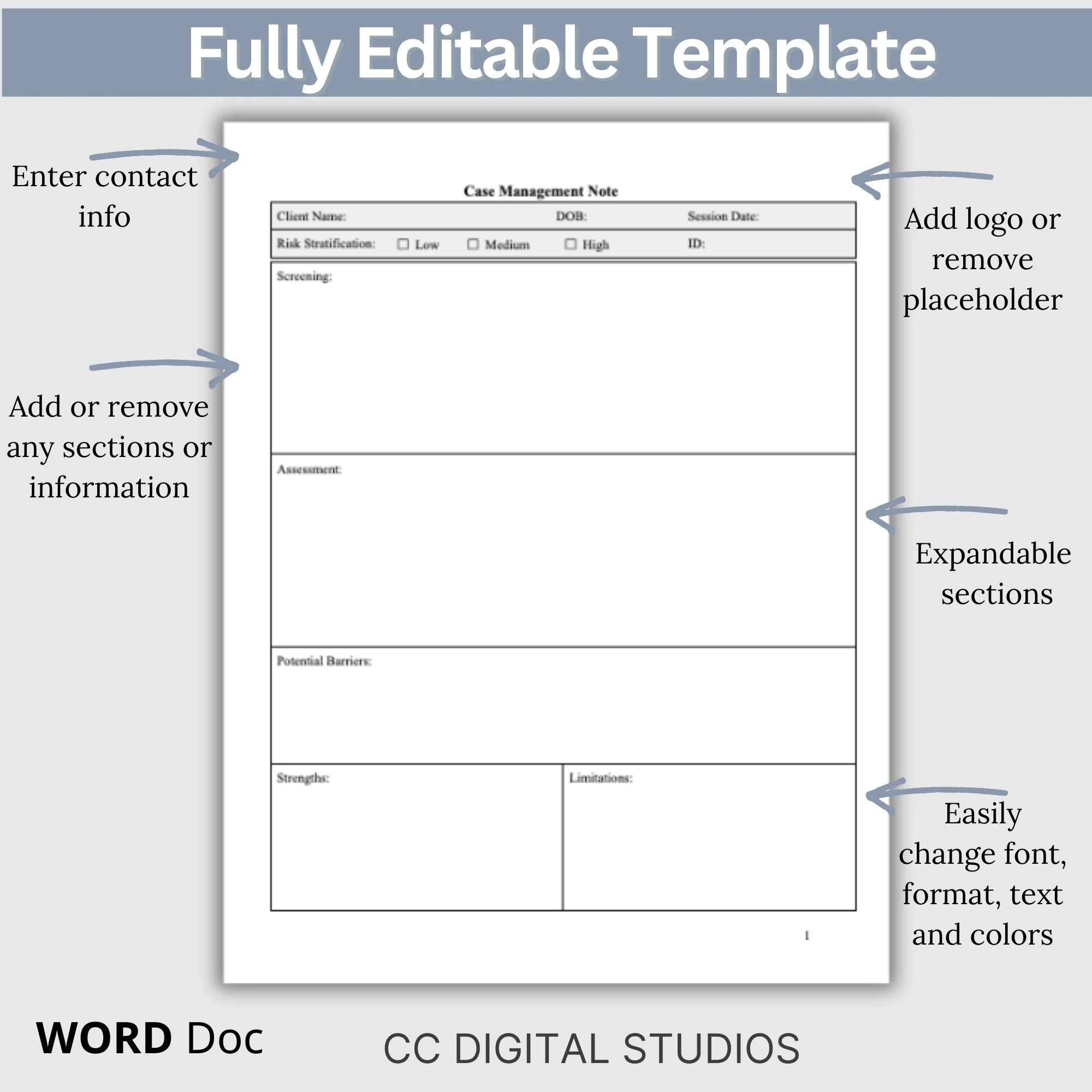 Printable Case Management Plan Template