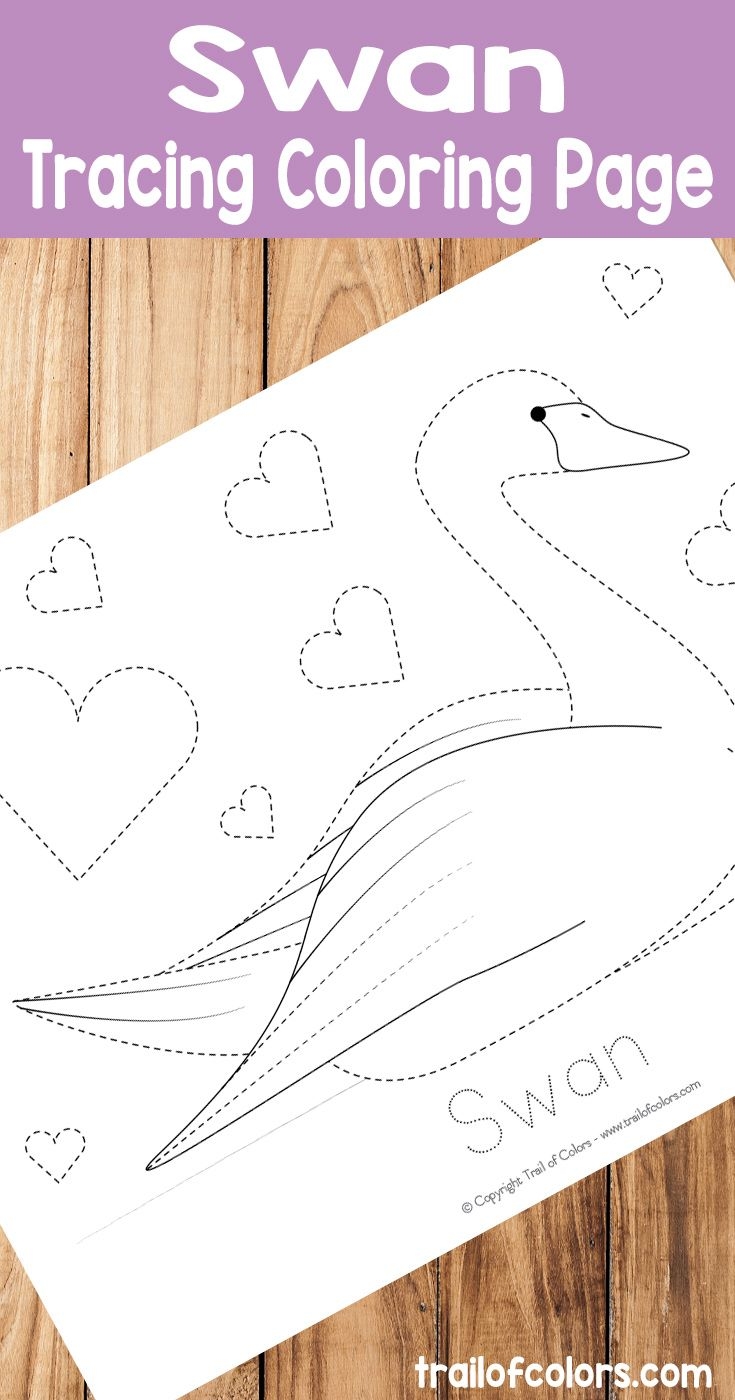 Swan Tracing Coloring Page Free Printable